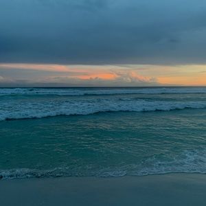 Meet your Posher, Tom